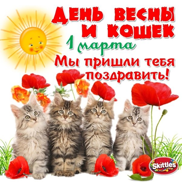 Светлана Чумакова