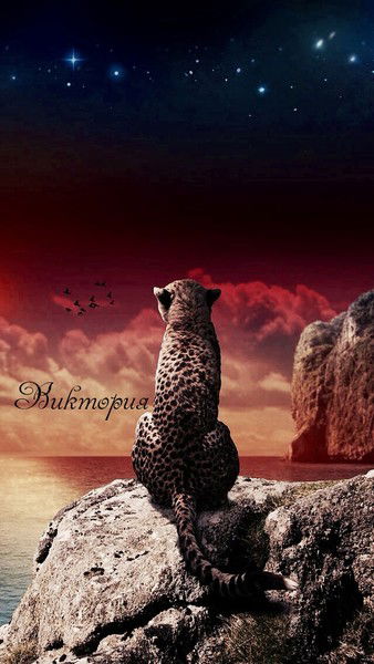 Вичка Вичка