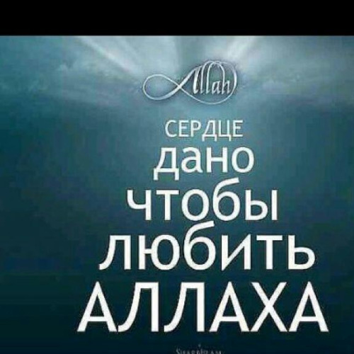 Salavat Tsaroev