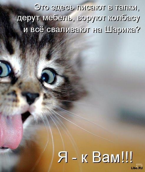 Наталья Моргунова