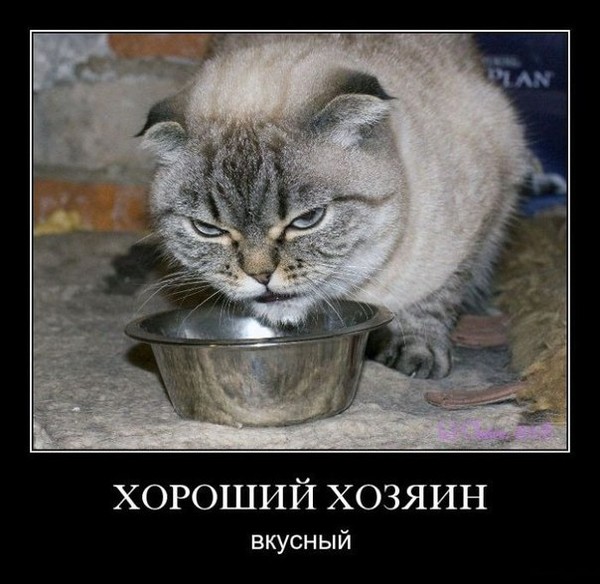 Кай Марций Кориолан