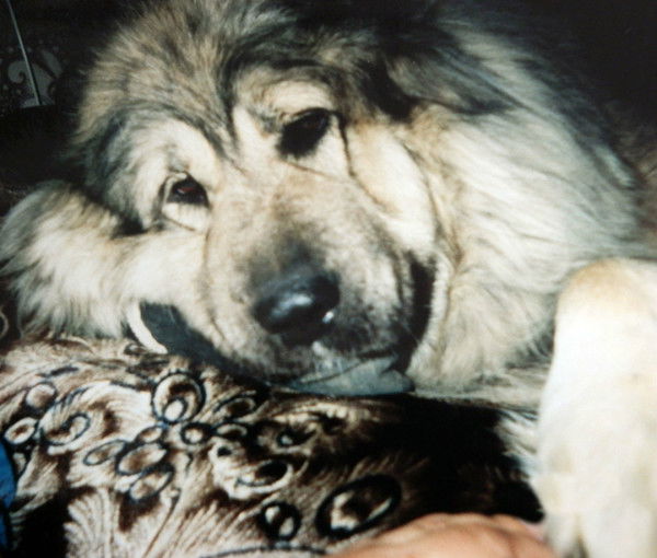 Татьяна Ладанова