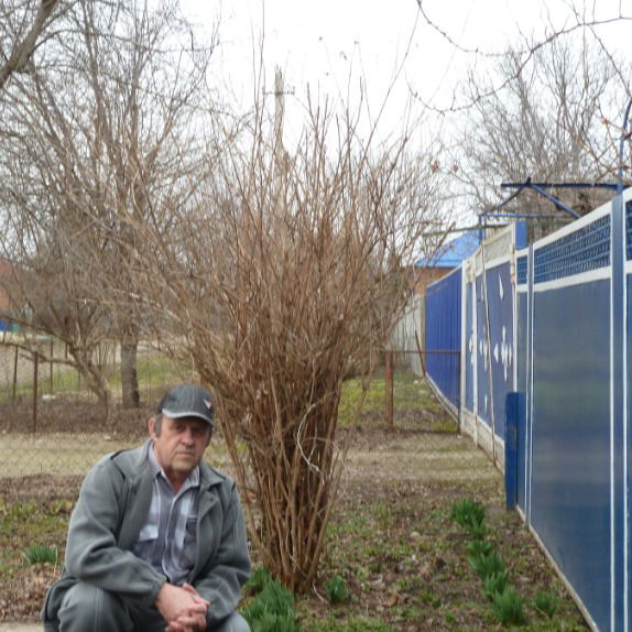 Александр Булатов