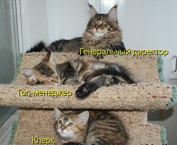 Андрей Дорон