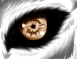 Александр Цветаев