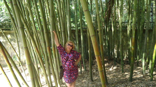 Любовь Любовь