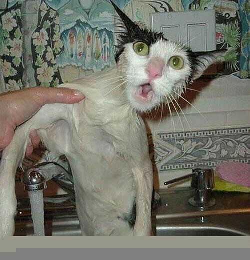 Александр Хайрутдинов