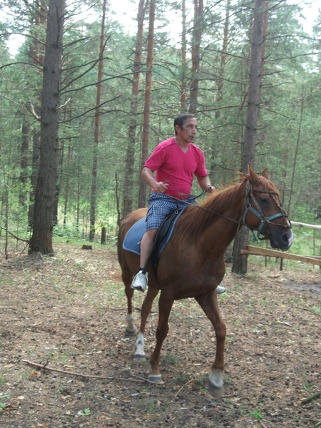 Николa Ша