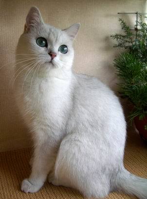 Светлана Шагинян