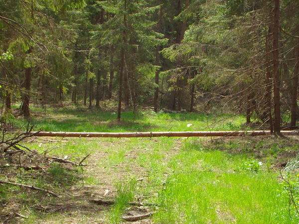 Олег Мищенко