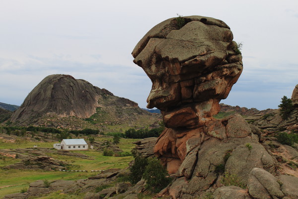 Венера Тулеубекова