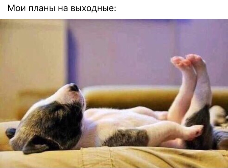 Не Знакомлюсь _