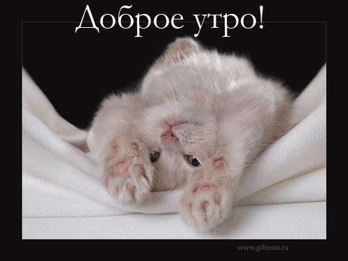Вікторія Хапко