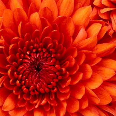 Наталья Исакова