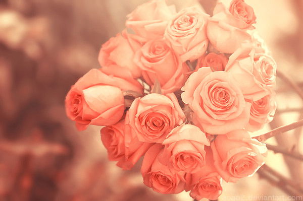 Меруерт Шамекова