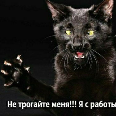 Наталья Бессонова