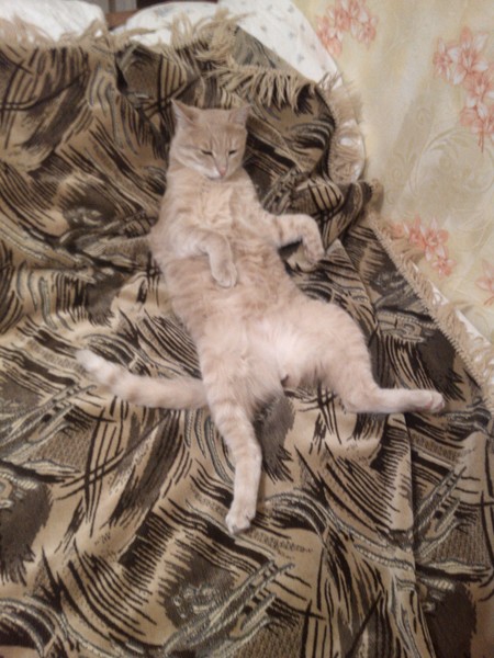 Максим Пономарёв