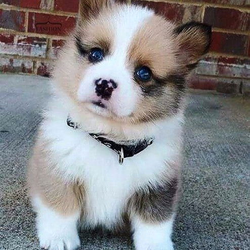 Оксана Чальцева