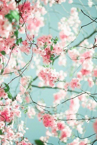 Гаухар Кайырбековна