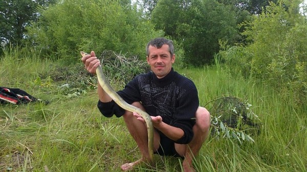 Павел Галузо