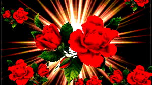 Roze Roze
