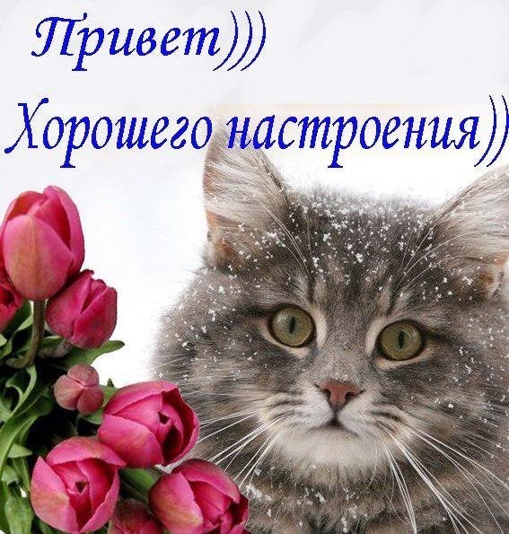 Александр Оберемченко