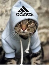 Ф Ф