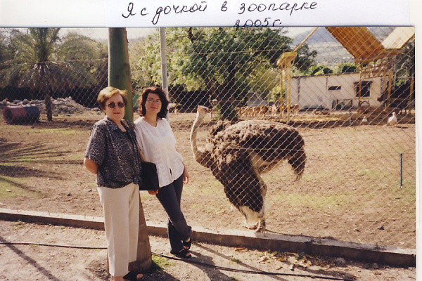 Елена Дралова