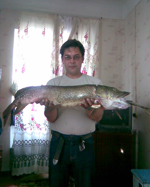 Марат Ганиев