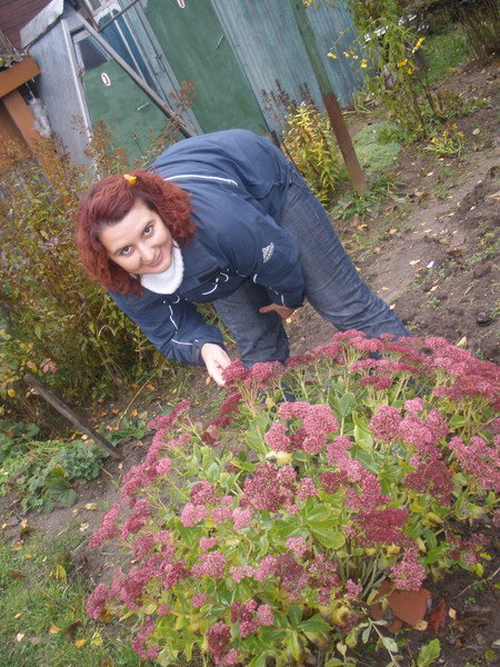Елена Иноземцева