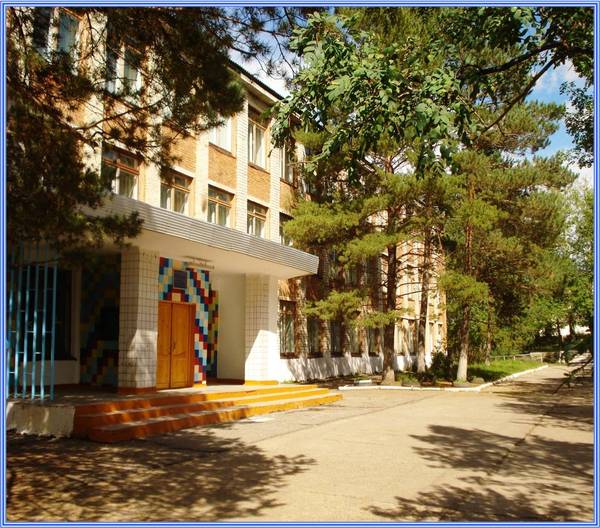 Наталья Мальцева