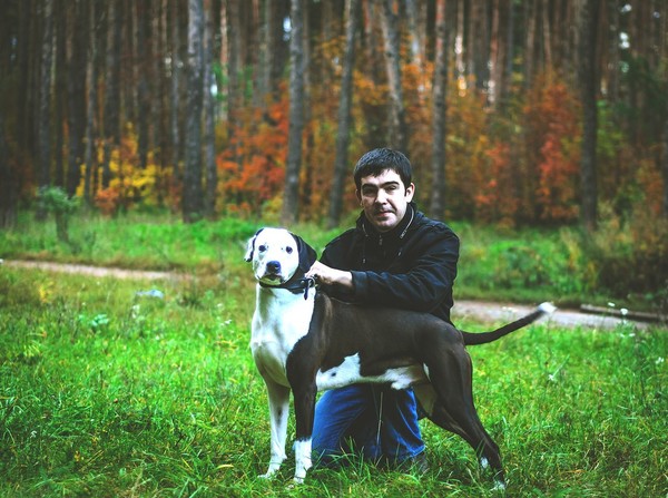 Константин Тарасов