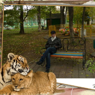 Виктор Сулима