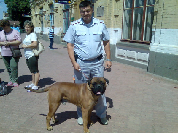 Дмитрий Калинин