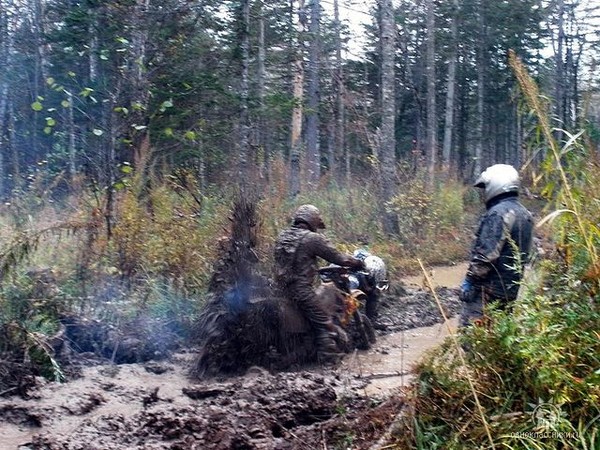 Владимир Гусев