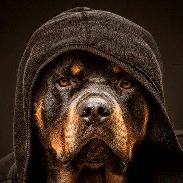 Ратмир Великорусский