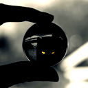 Кошка Черная Фыррр