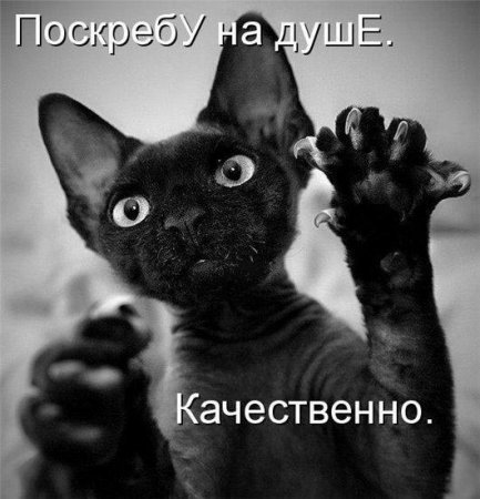 Relictoff Хмурый