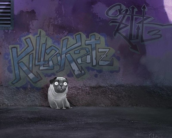 Данил Когутенко