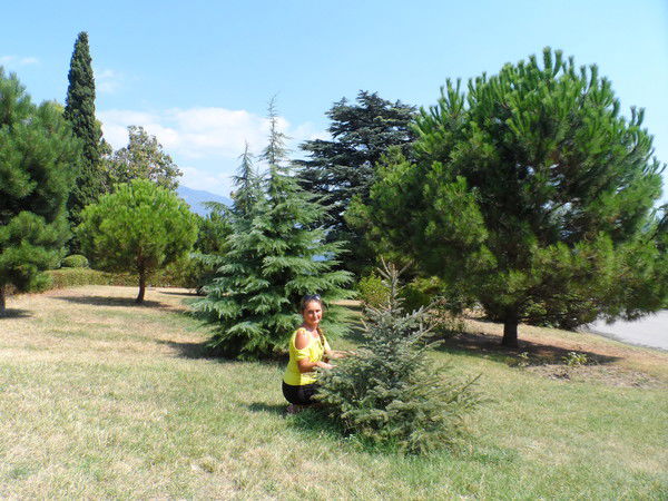 Любовь Пименова