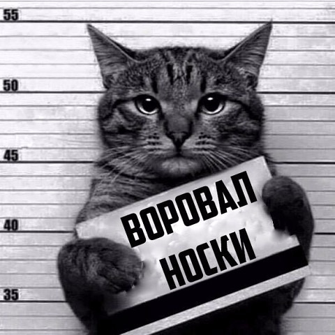 Иван Холомин