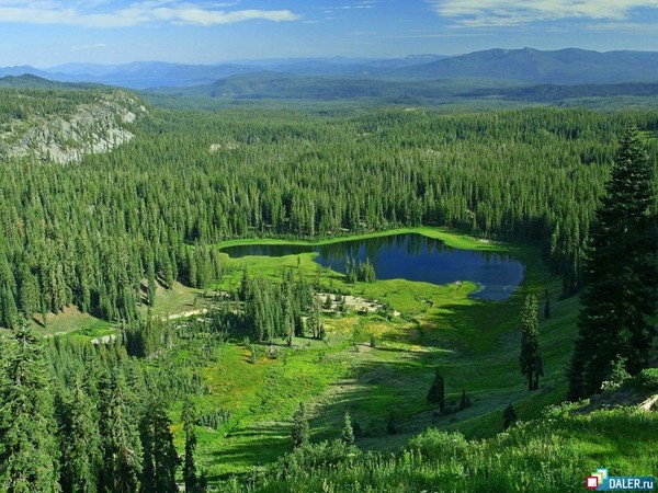 Ольга Летягина