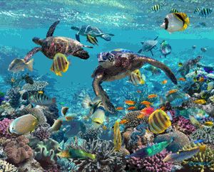 Таня Лагина