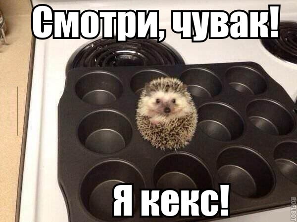 Игорь Ежов