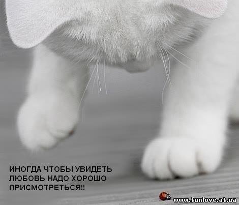 Елена Голованова