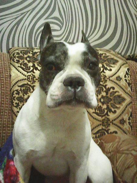 Виктор Занкин