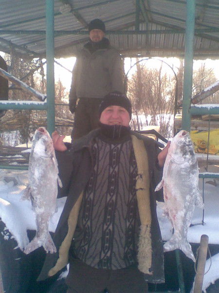 Серый Солтановский