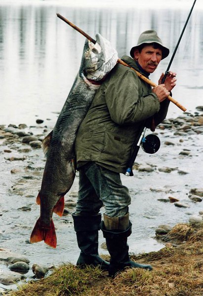 Андрей Ванюшкин