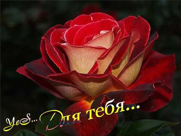 Гонщик Один Такой