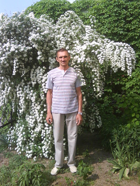 Николай Погодаев